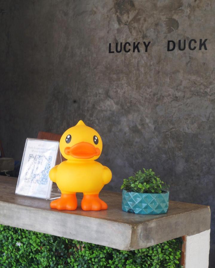 Hotel Lucky Duck Pj Cancún Zewnętrze zdjęcie